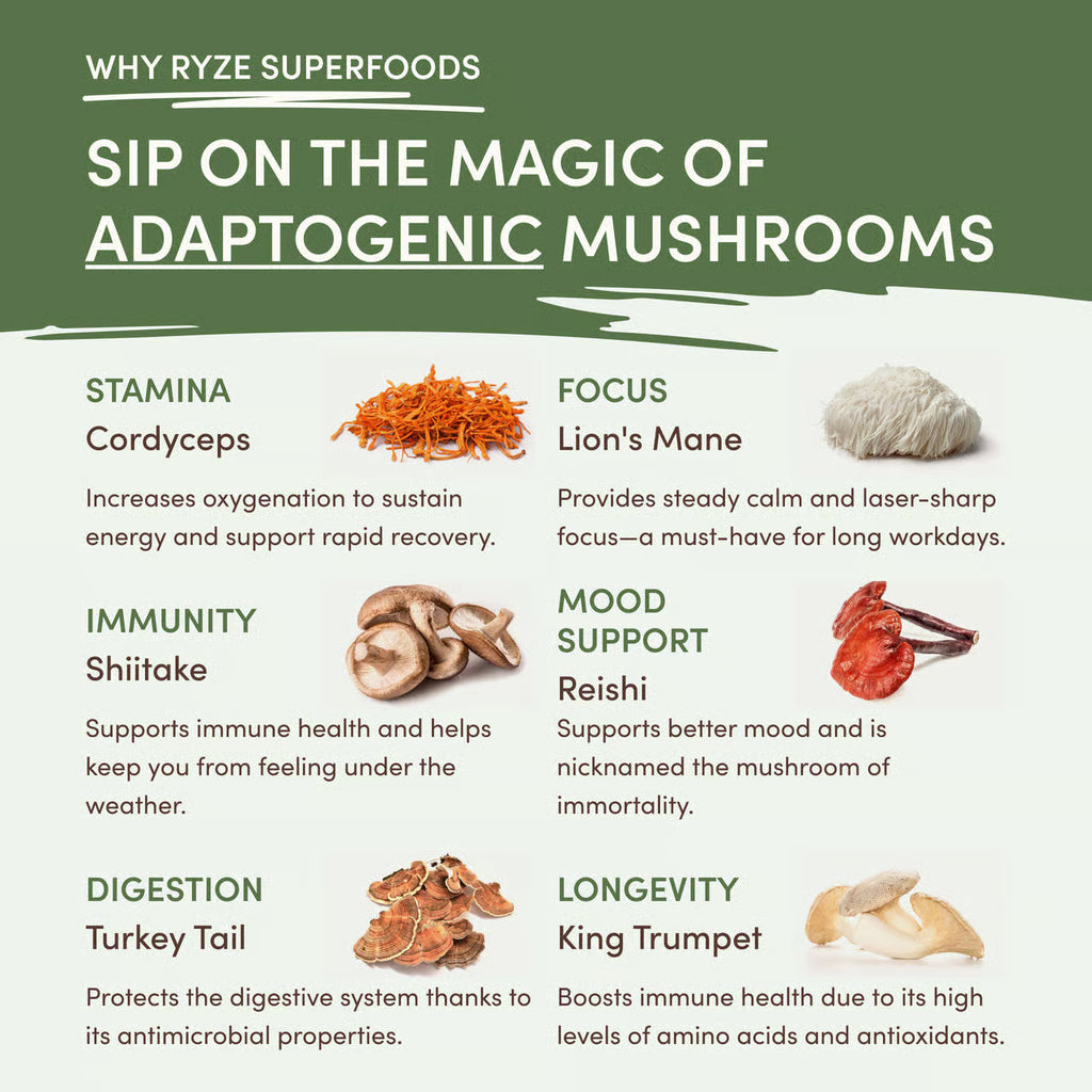 RYZE Mushroom Matcha