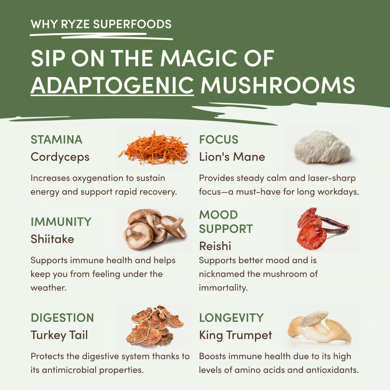 RYZE Mushroom Matcha